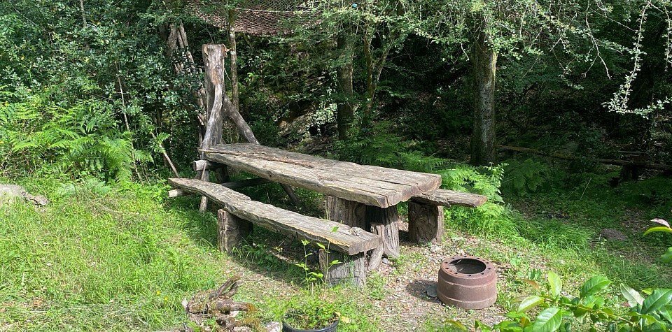 table pour 14 personnes réalisée à la main à partir d'un seul gros tronc de châtaignier
